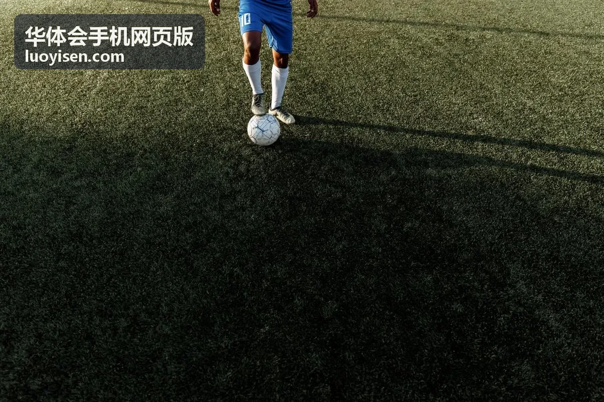 华体会手机网页版退出登录与缓存清理入口