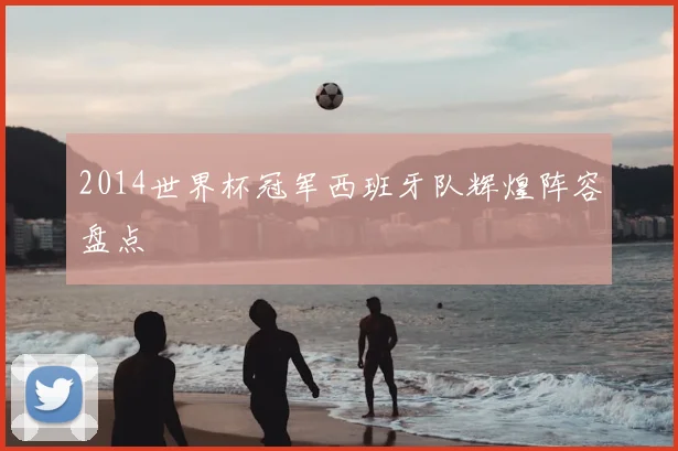 2014世界杯冠军西班牙队辉煌阵容盘点