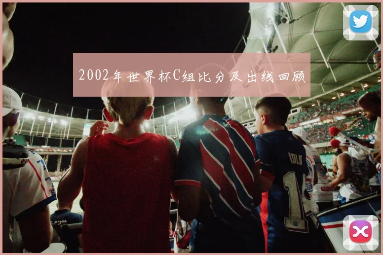 2002年世界杯C组比分及出线回顾