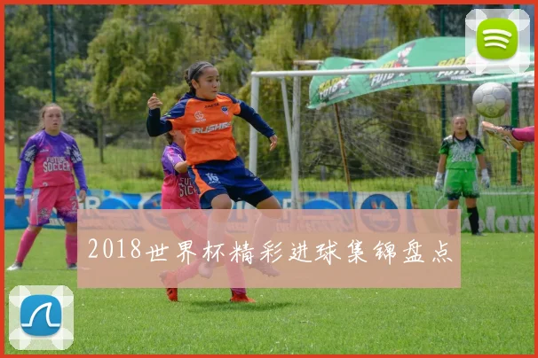 2018世界杯精彩进球集锦盘点
