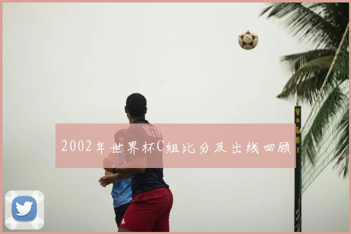 2002年世界杯C组比分及出线回顾