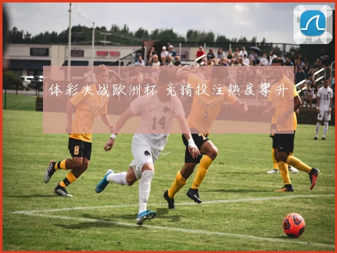 体彩决战欧洲杯 竞猜投注热度攀升