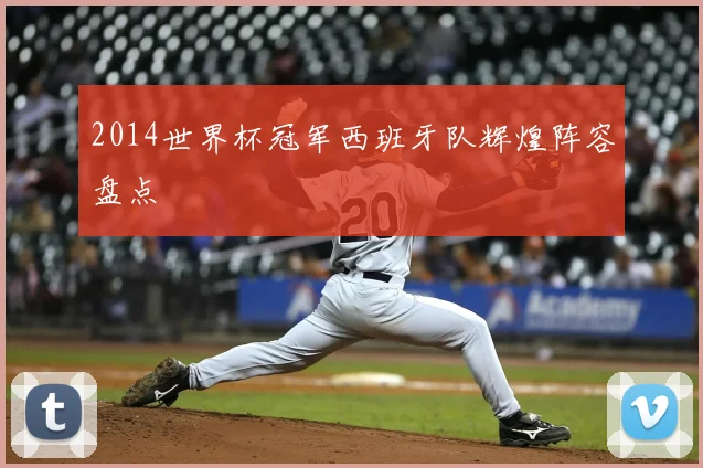 2014世界杯冠军西班牙队辉煌阵容盘点