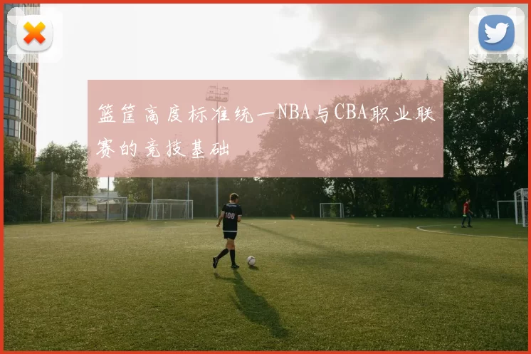 篮筐高度标准统一NBA与CBA职业联赛的竞技基础