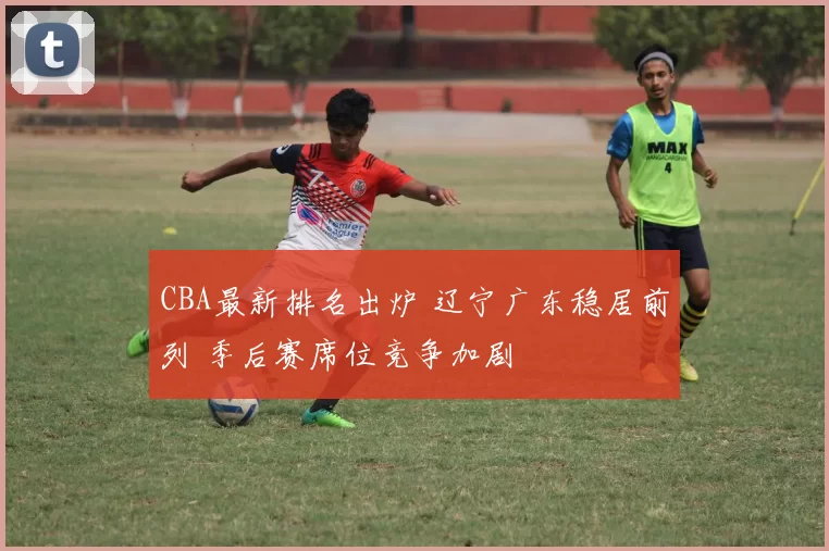 CBA最新排名出炉 辽宁广东稳居前列 季后赛席位竞争加剧