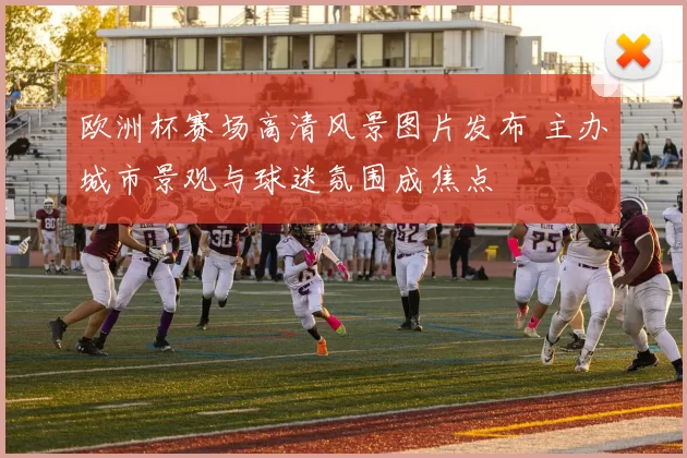 欧洲杯赛场高清风景图片发布 主办城市景观与球迷氛围成焦点