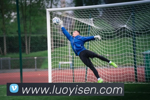 星空手机官方网站平台生态图